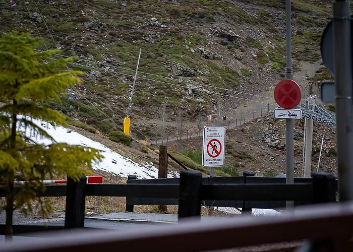 Miramar Premium Sierra Nevada