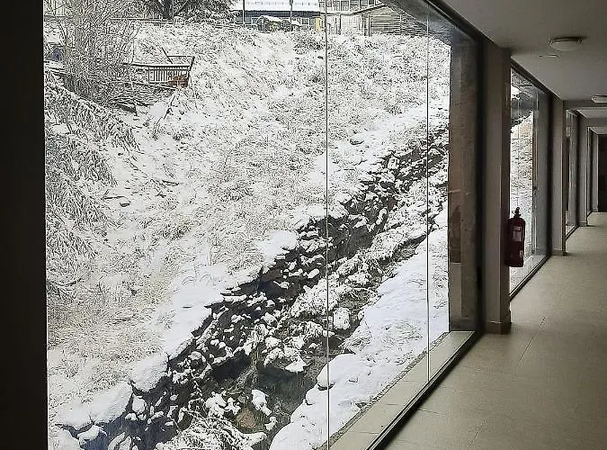 Miramar Premium Sierra Nevada